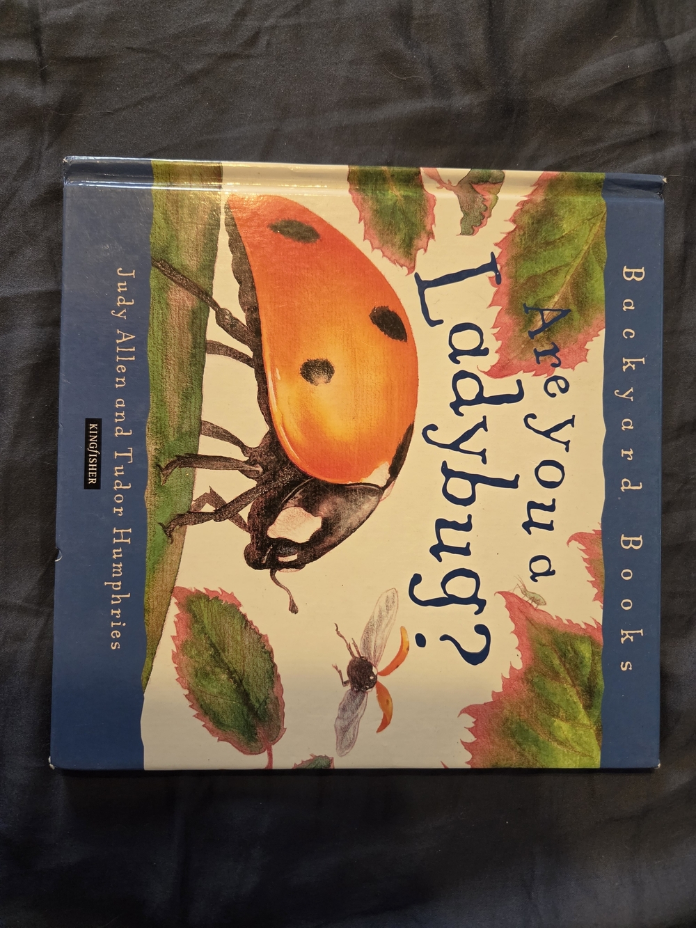 Kids Orange Ladybug Print Bottoms